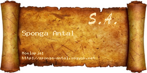 Sponga Antal névjegykártya